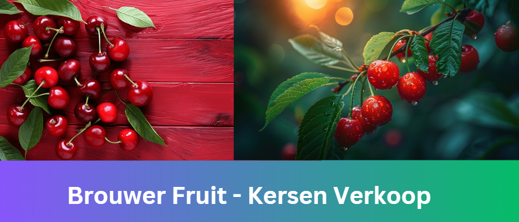 Brouwer Fruit – Kersen Verkoop: A Legacy of Premium Dutch Cherries and Sustainability