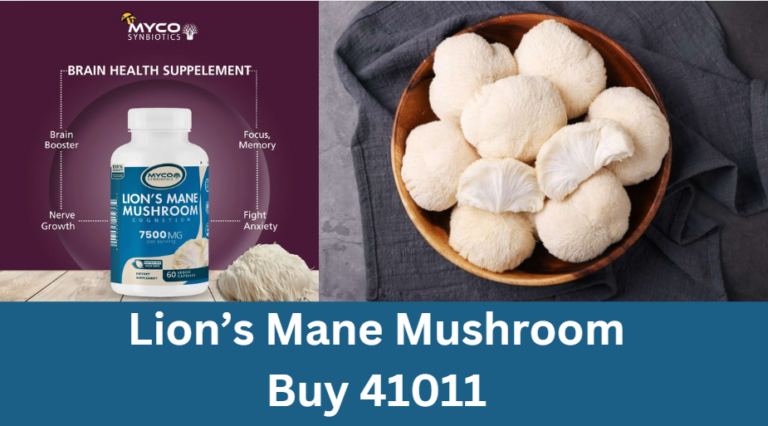 Lion’s Mane Mushroom Buy 41011