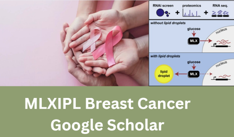 MLXIPL Breast Cancer Google Scholar