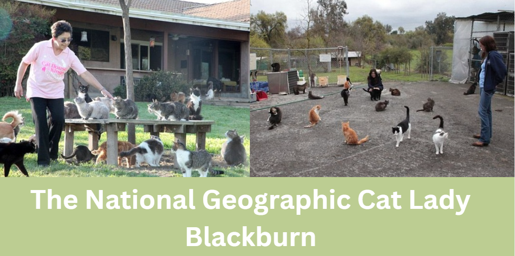 The National Geographic Cat Lady Blackburn: A Symbol of Compassion, Advocacy, and Animal Welfare