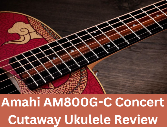 Amahi AM800G-C Concert Cutaway Ukulele Review