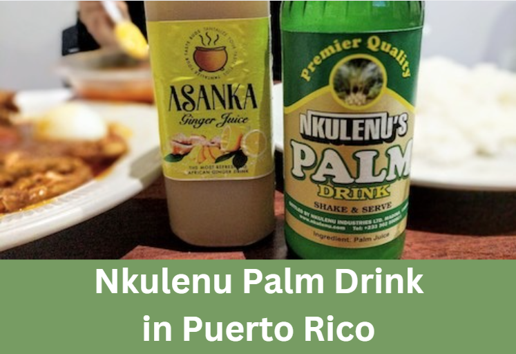 Nkulenu Palm Drink in Puerto Rico