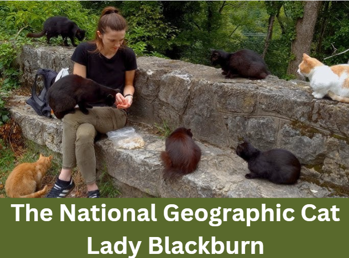 The National Geographic Cat Lady Blackburn