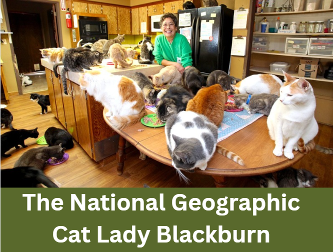 The National Geographic Cat Lady Blackburn