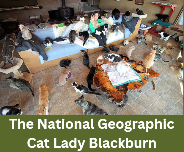 The National Geographic Cat Lady Blackburn