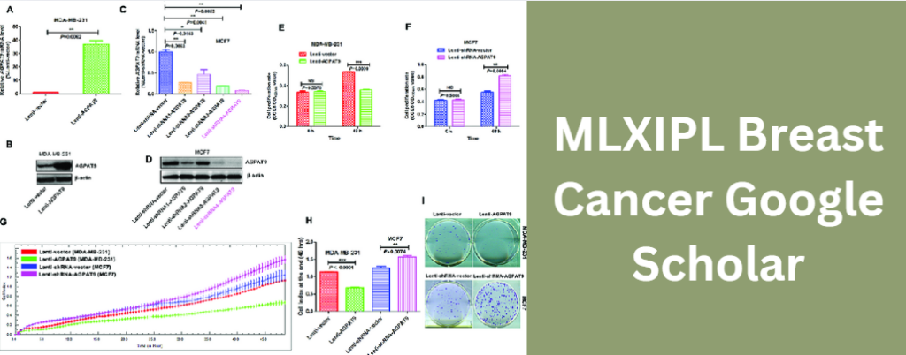 MLXIPL Breast Cancer Google Scholar