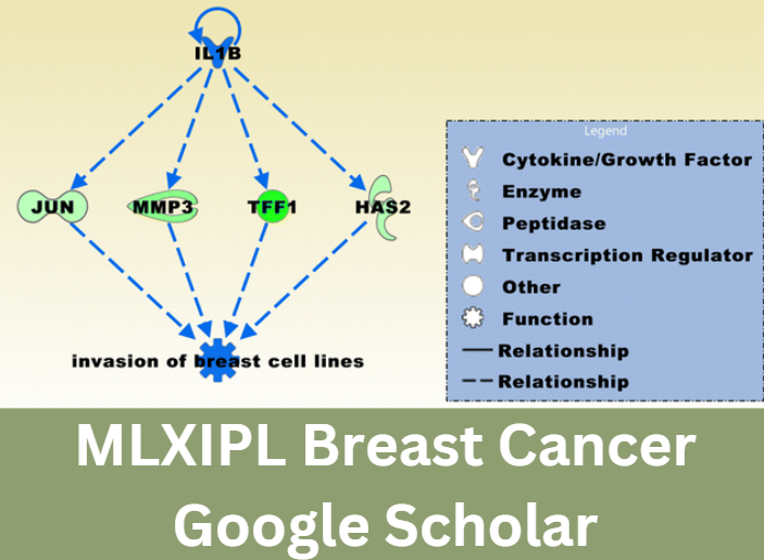 MLXIPL Breast Cancer Google Scholar